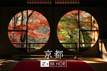 【8K HDR】京都之秋 ｜ Nikon Z9 演示片 超清视频素材