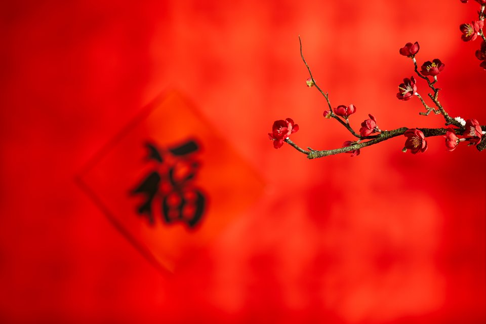 春节新年福气背景 红梅花 腊梅 红色过年喜庆 超清桌面屏保 6K-PixStock 源像素
