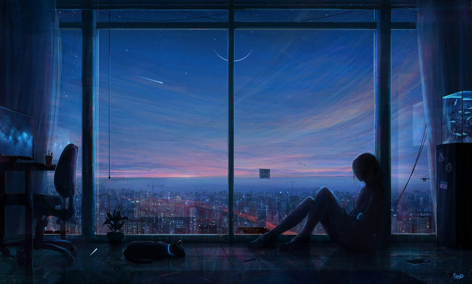 梦幻晚霞 窗前的女孩 晚上 猫 飘窗 星星 月亮 流星 高清动漫桌面壁纸 4k-PixStock 源像素