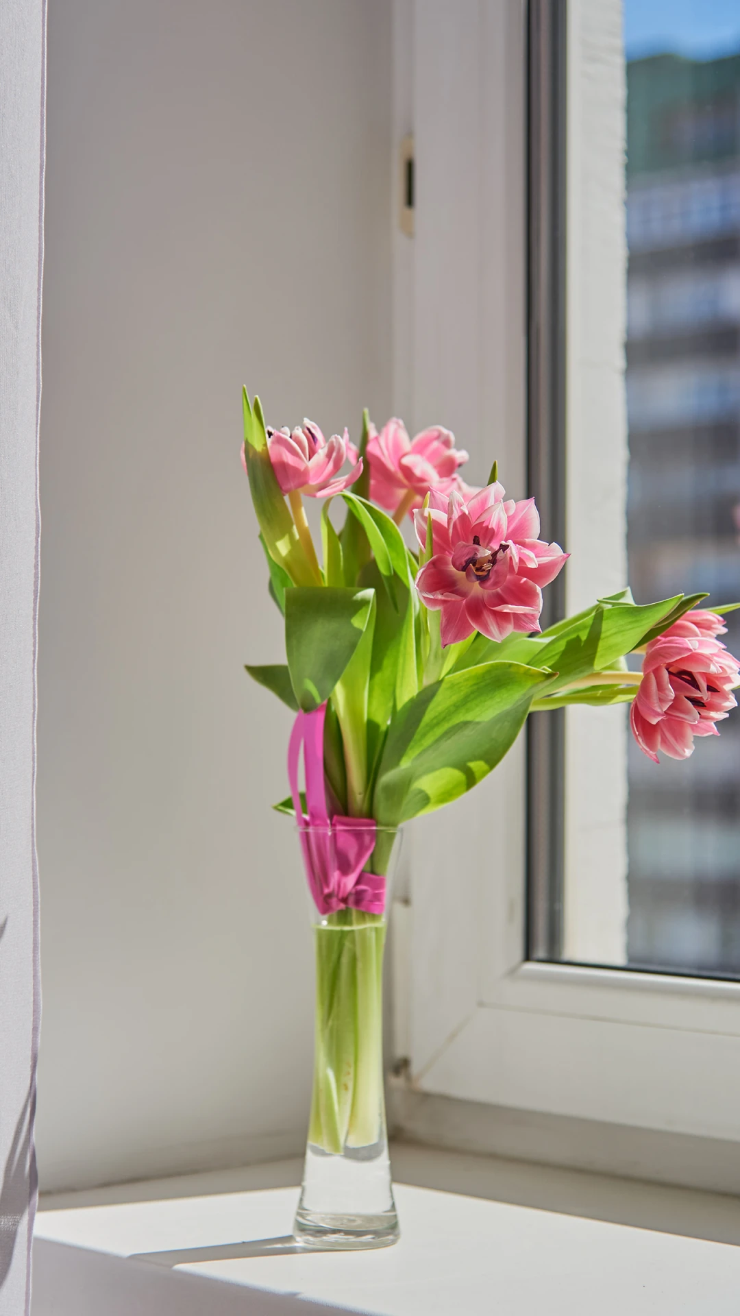 美丽的花朵 iphone苹果手机竖屏 高清桌面壁纸-PixStock 源像素
