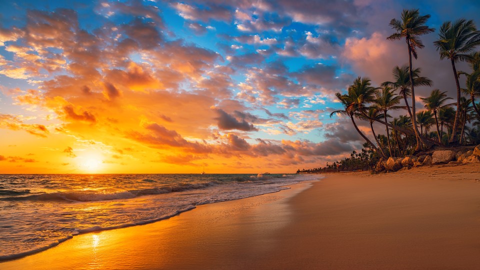 海边 夕阳 黄昏 海滩 沙滩 椰树 风景壁纸 4k-PixStock 源像素