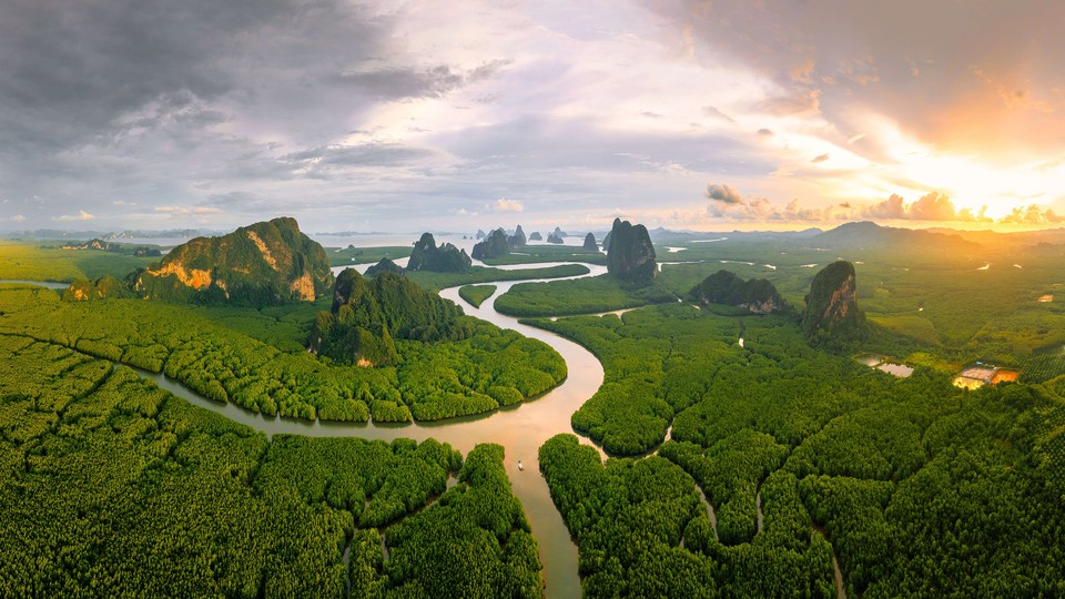 泰国攀牙湾安达曼海的红树林 超清原图 大图 高清 风景壁纸 4k-PixStock 源像素