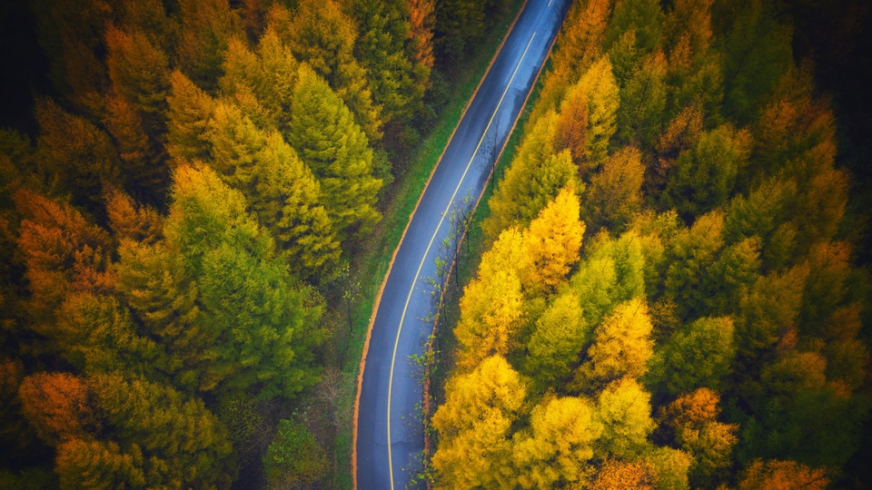 秋天风景 图片 树林 公路 俯视 电脑 高清 壁纸 4k
